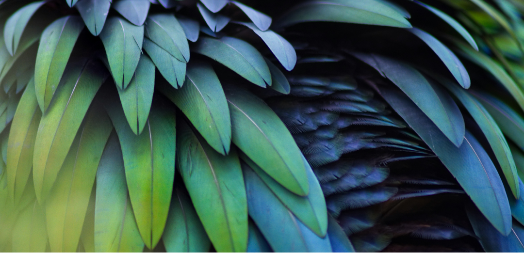 NA-KD: How to make profitability and sustainability go hand-in-hand