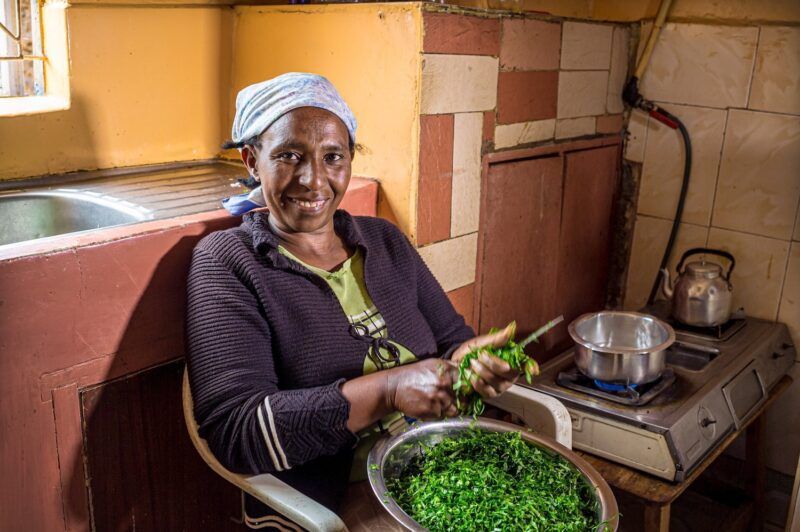 Household clean cookstove fuelled by biogas