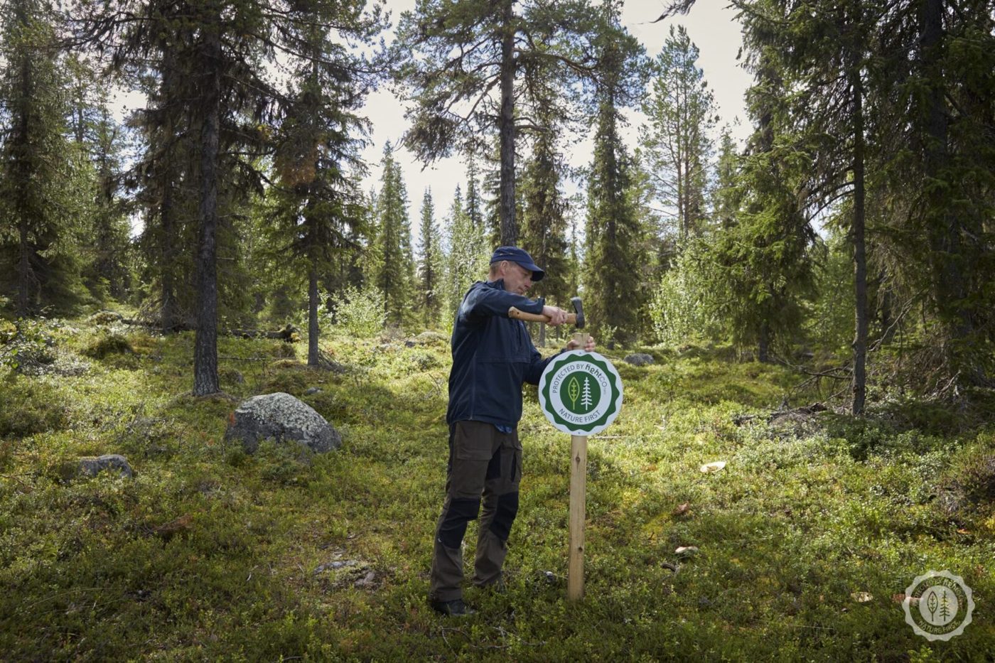 Protected forest land in Sweden